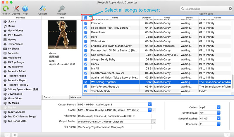 loads iTunes library