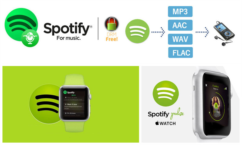 can you download spotify playlists to apple watch