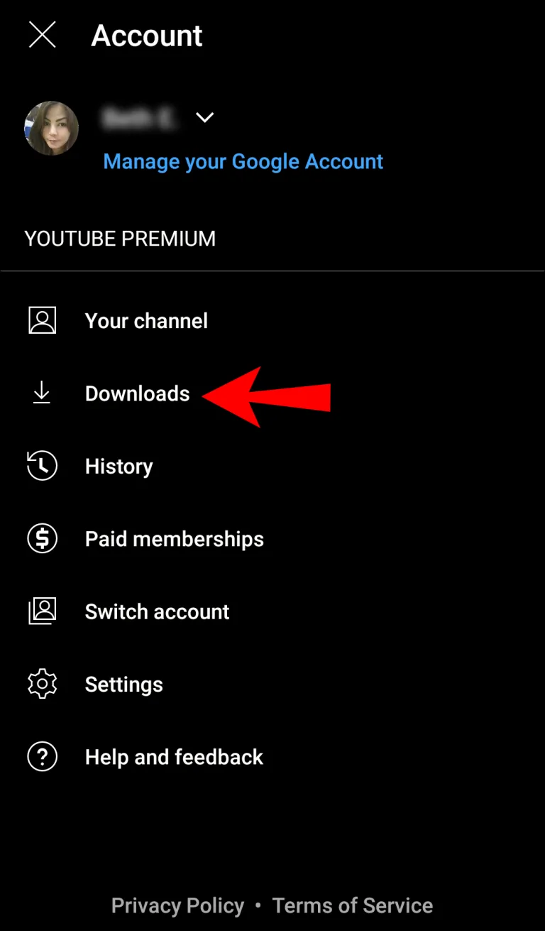 listen to youtube music offline