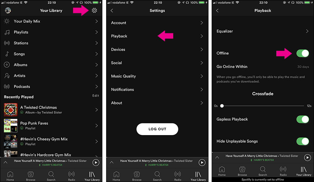 play spotify music on pixel phone offline