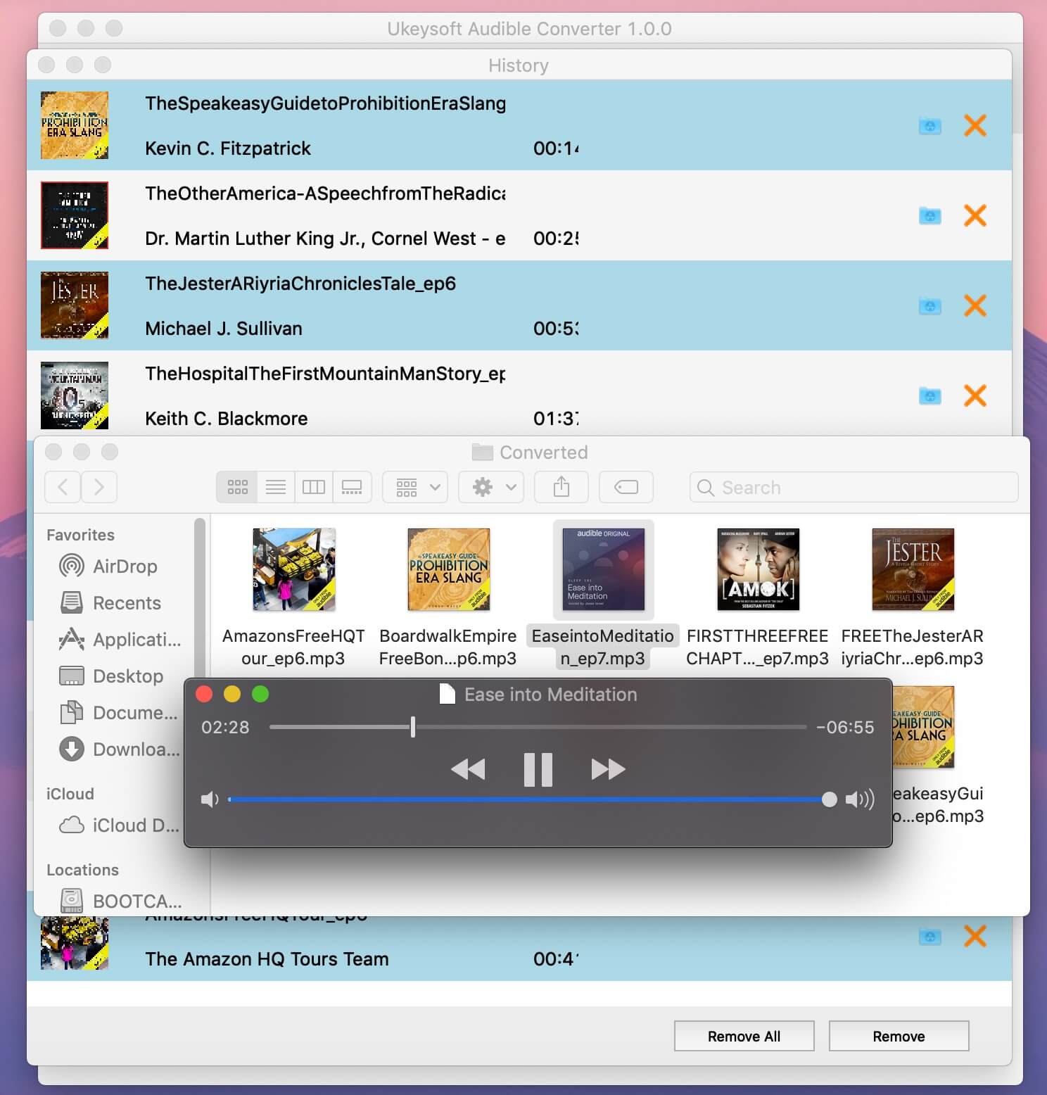 play audible books