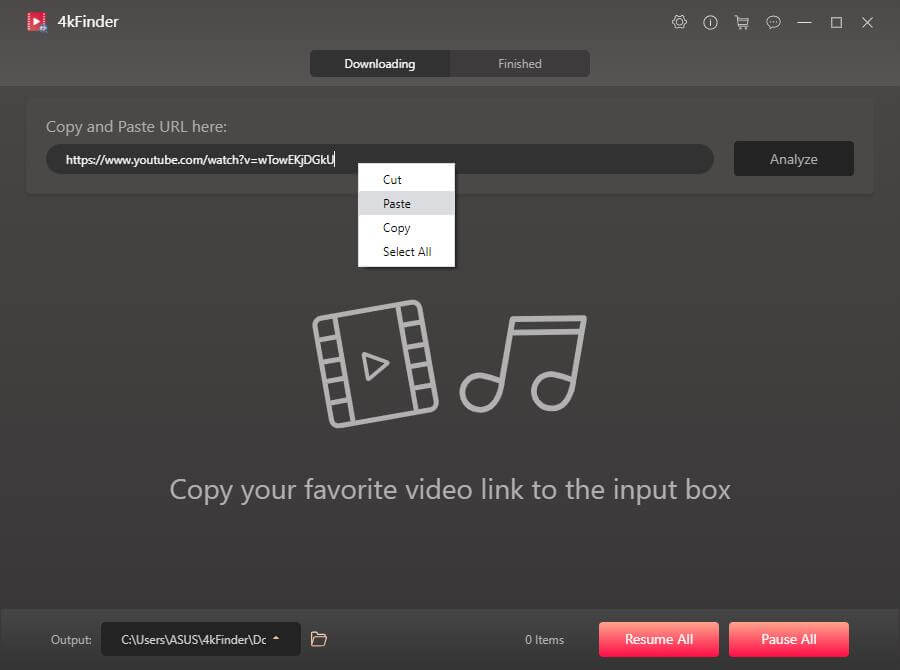 copy and paste video link