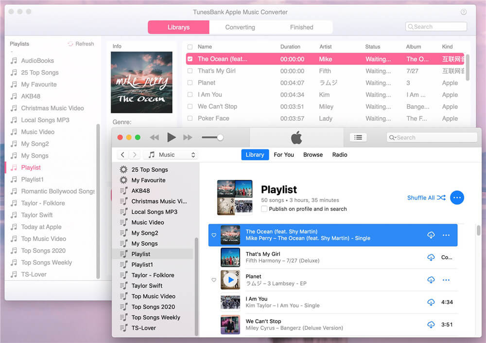 run apple music converter