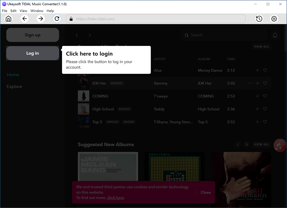 launch tidal music converter