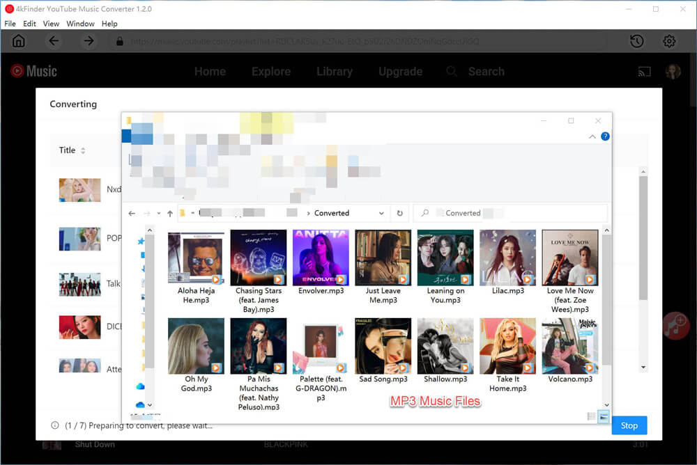 output youtube music files
